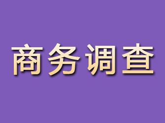 乌鲁木齐商务调查